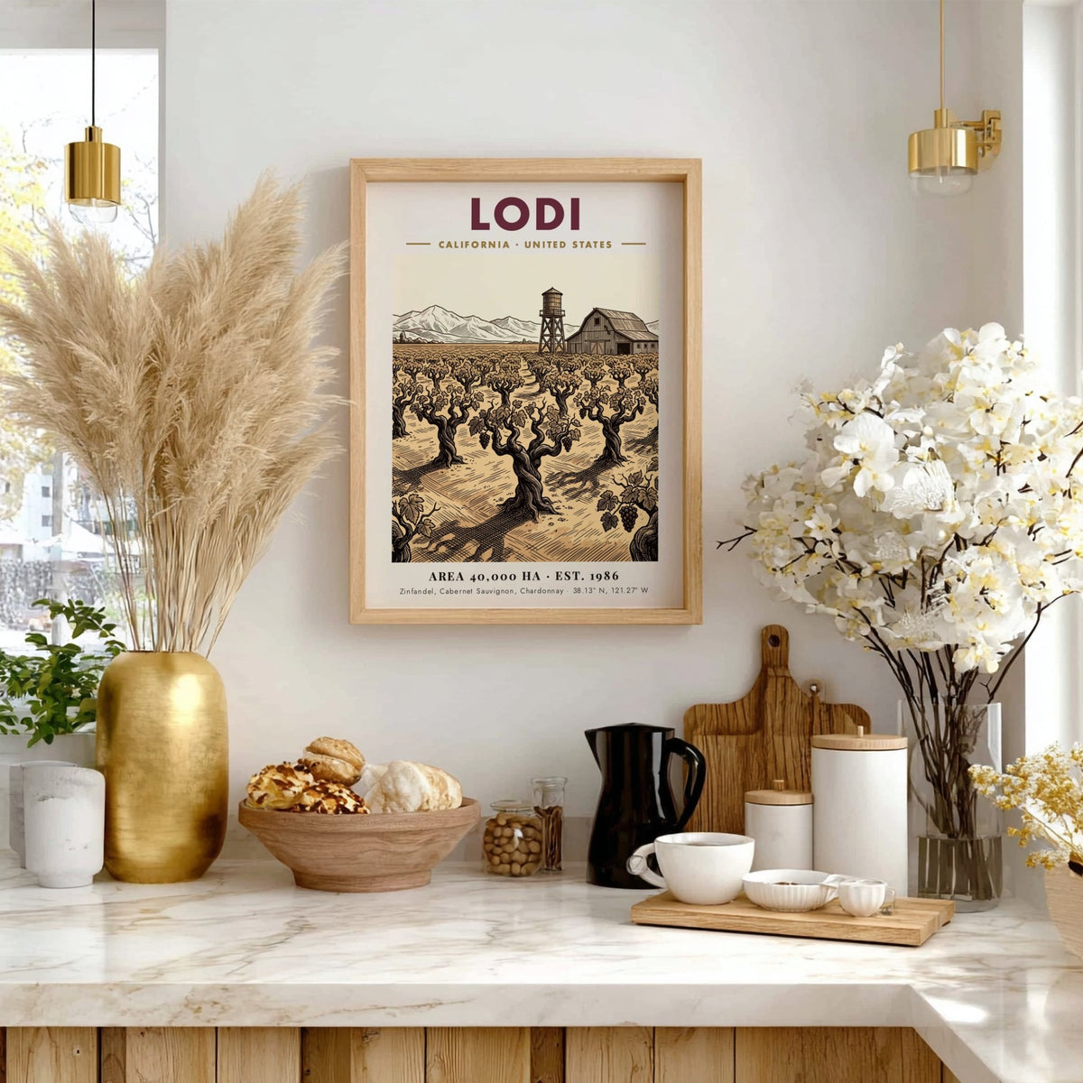 Poster featuring a Lodi California vineyard with a barn and water tower illustration