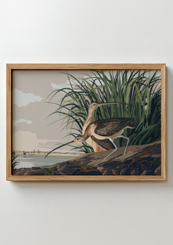 Long-billed Curlew art poster featuring a detailed bird illustration in natural colors, ideal for nature