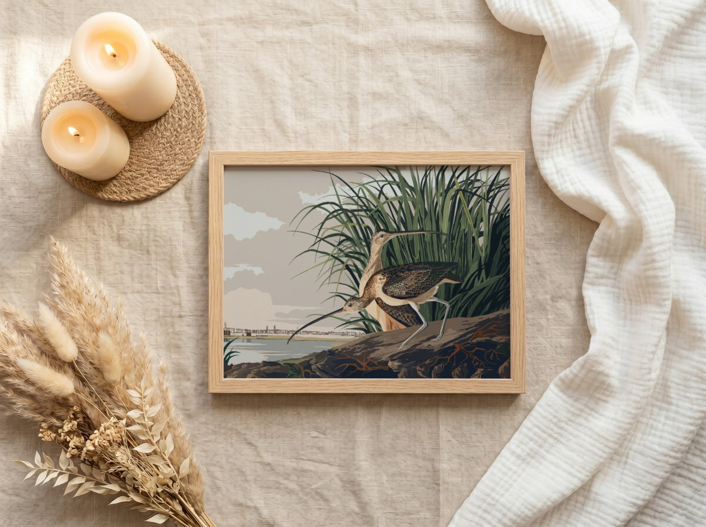 Long-billed Curlew art poster featuring a detailed bird illustration in natural colors, ideal for nature