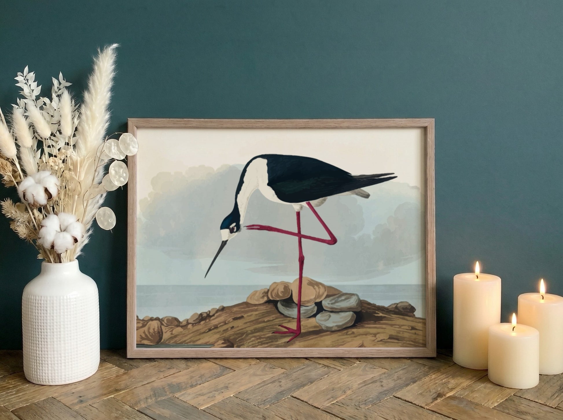 Long-legged avocet art poster featuring black and white bird illustration, nature theme, soft colors, Audubon