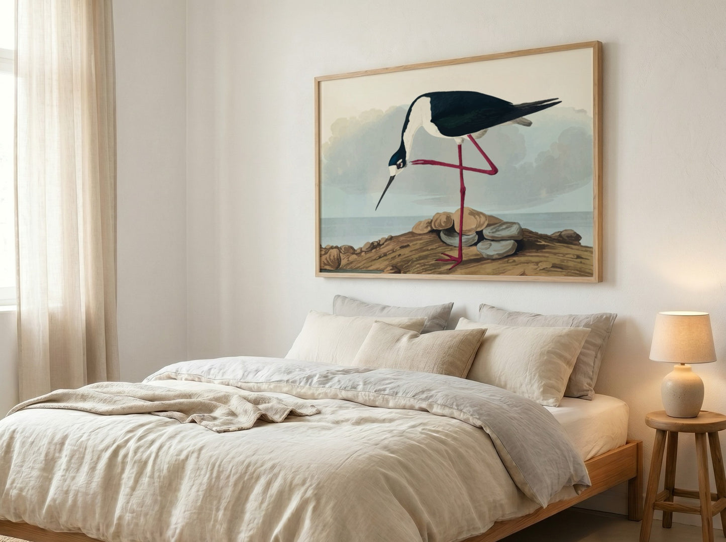 Long-legged avocet art poster featuring black and white bird illustration, nature theme, soft colors, Audubon