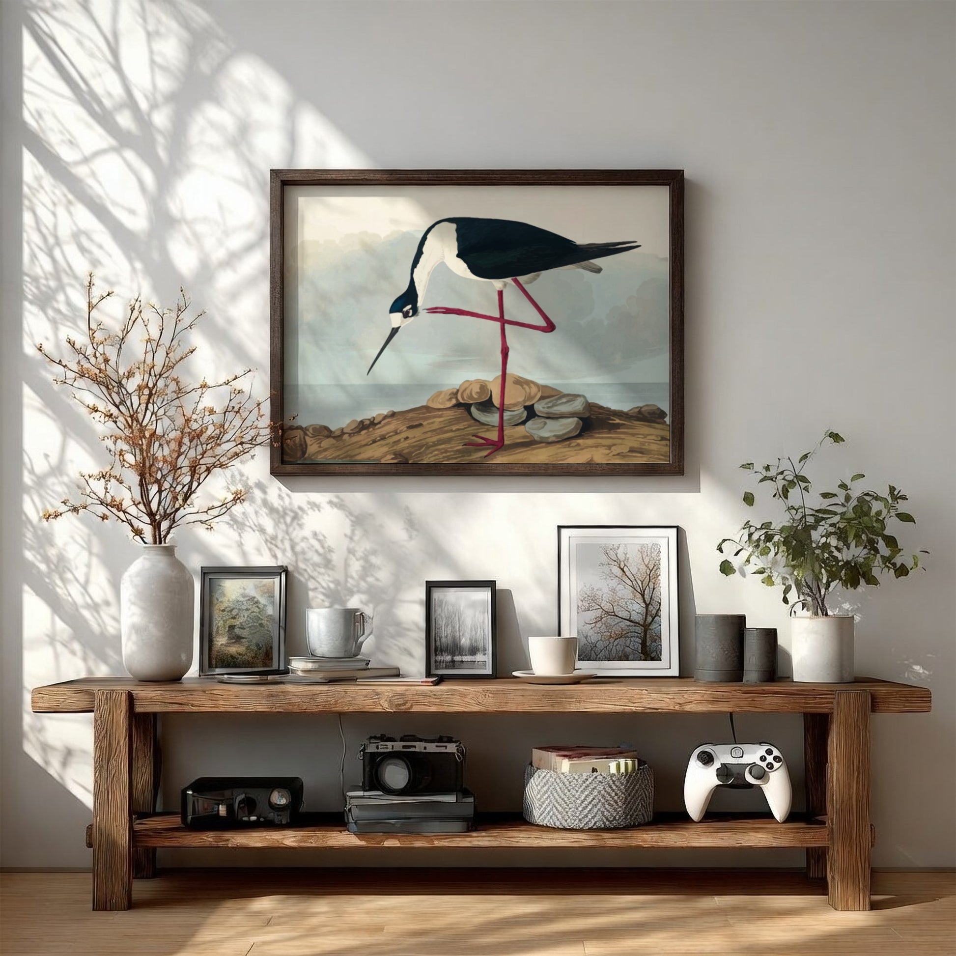 Long-legged avocet art poster featuring black and white bird illustration, nature theme, soft colors, Audubon