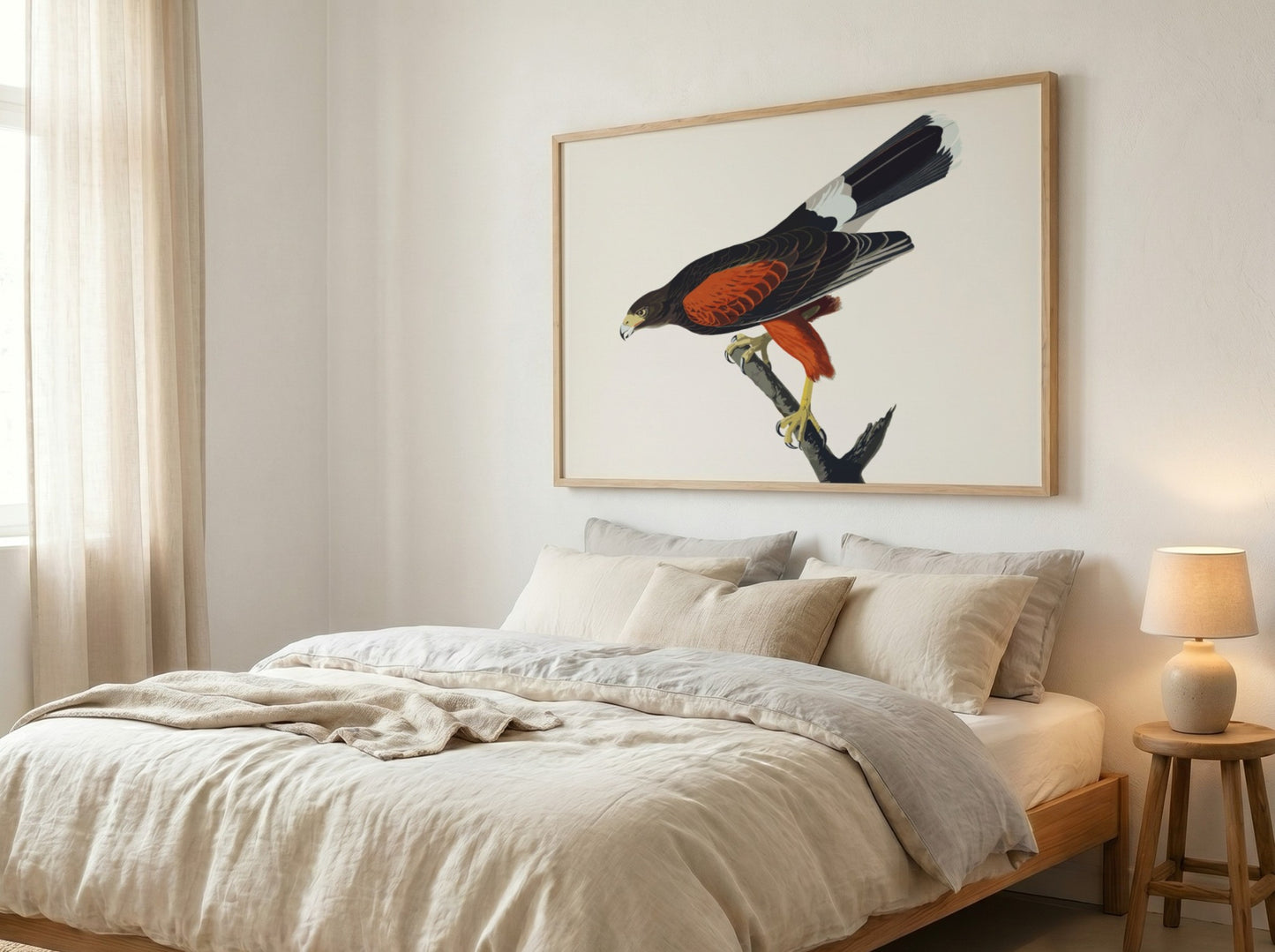 Louisiana Hawk poster featuring rich colors and intricate details, nature art print for wall decor