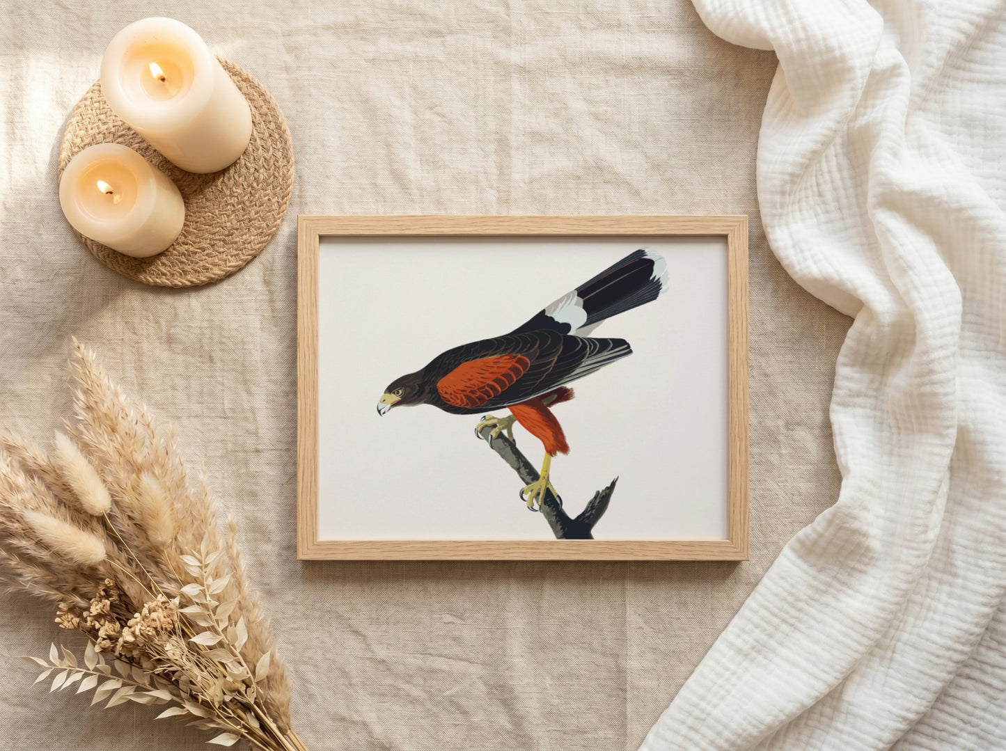Louisiana Hawk poster featuring rich colors and intricate details, nature art print for wall decor