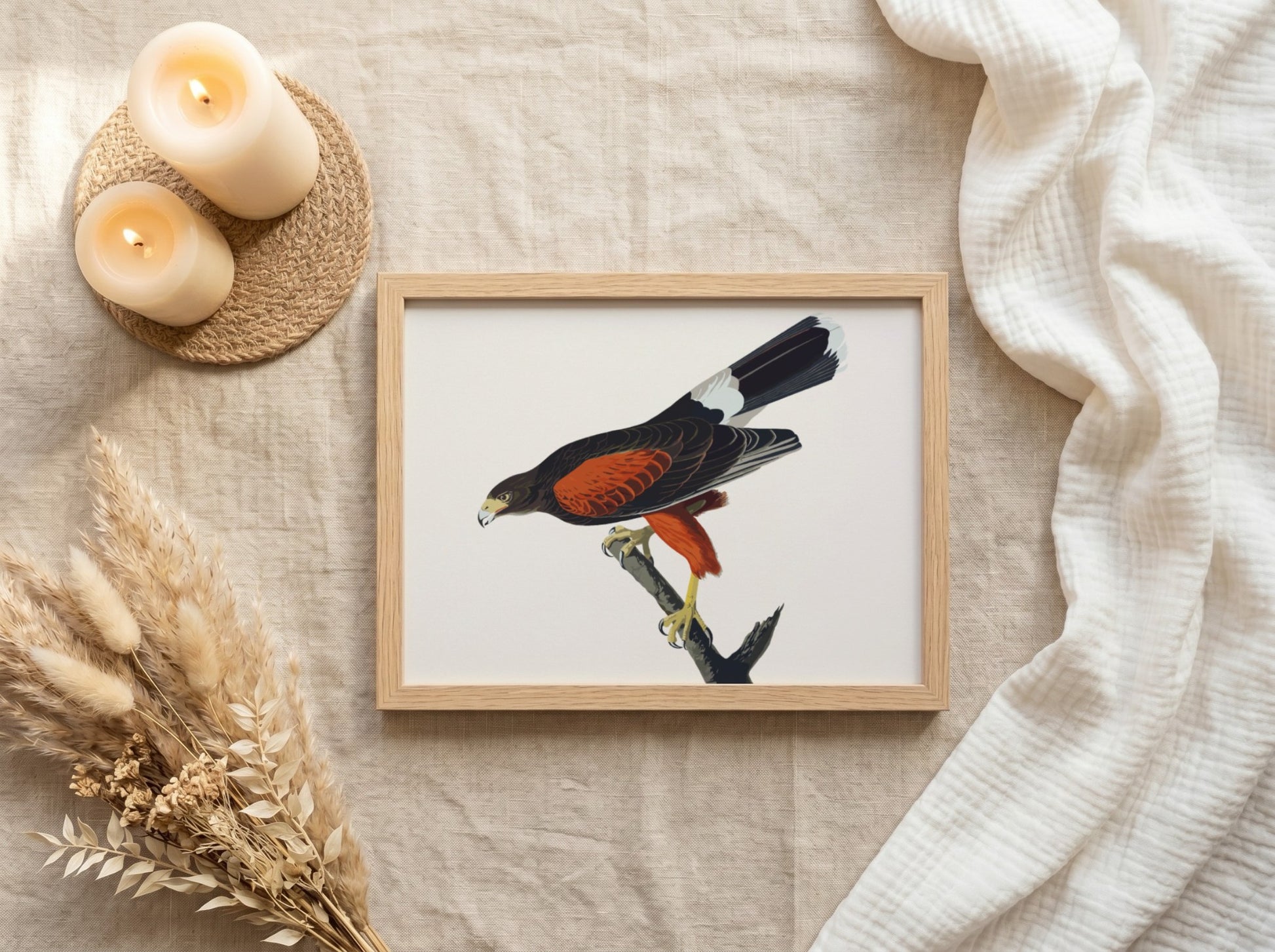 Louisiana Hawk poster featuring rich colors and intricate details, nature art print for wall decor