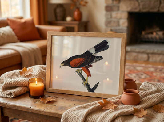 Louisiana Hawk poster featuring rich colors and intricate details, nature art print for wall decor