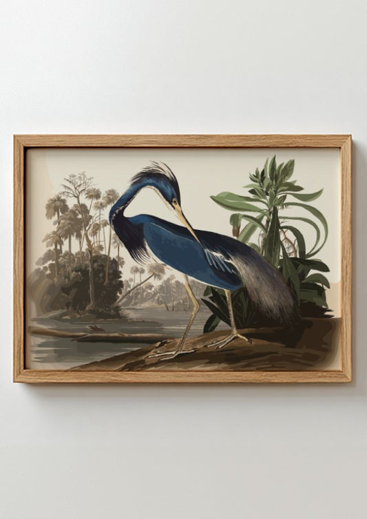 Louisiana Heron art poster featuring blue tones and detailed bird illustration, perfect for nature wall art