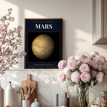 Mars poster featuring the red planet against a dark background with scientific data