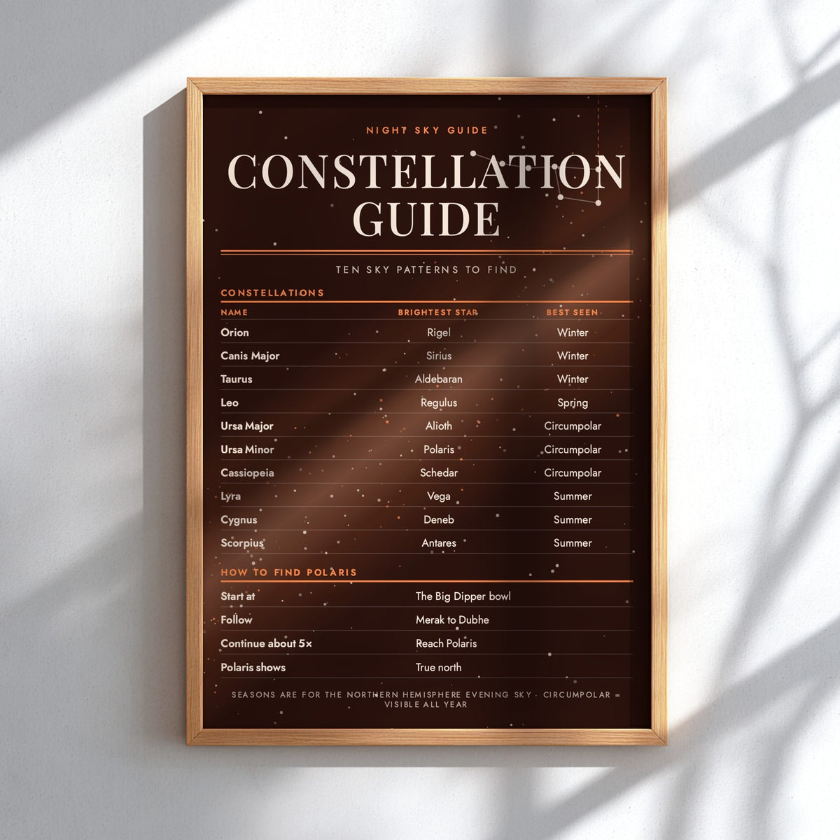 Constellation guide infografic