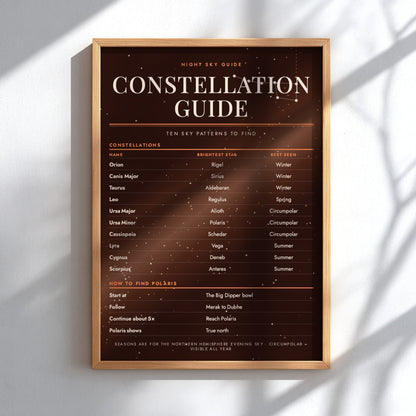 Constellation guide infografic