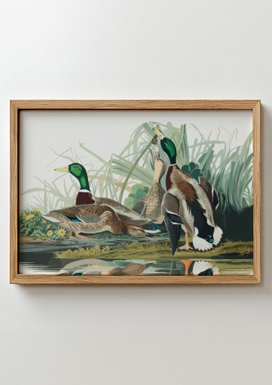 Mallard Duck poster featuring vibrant colors and intricate details, perfect for nature wall art and wildlife