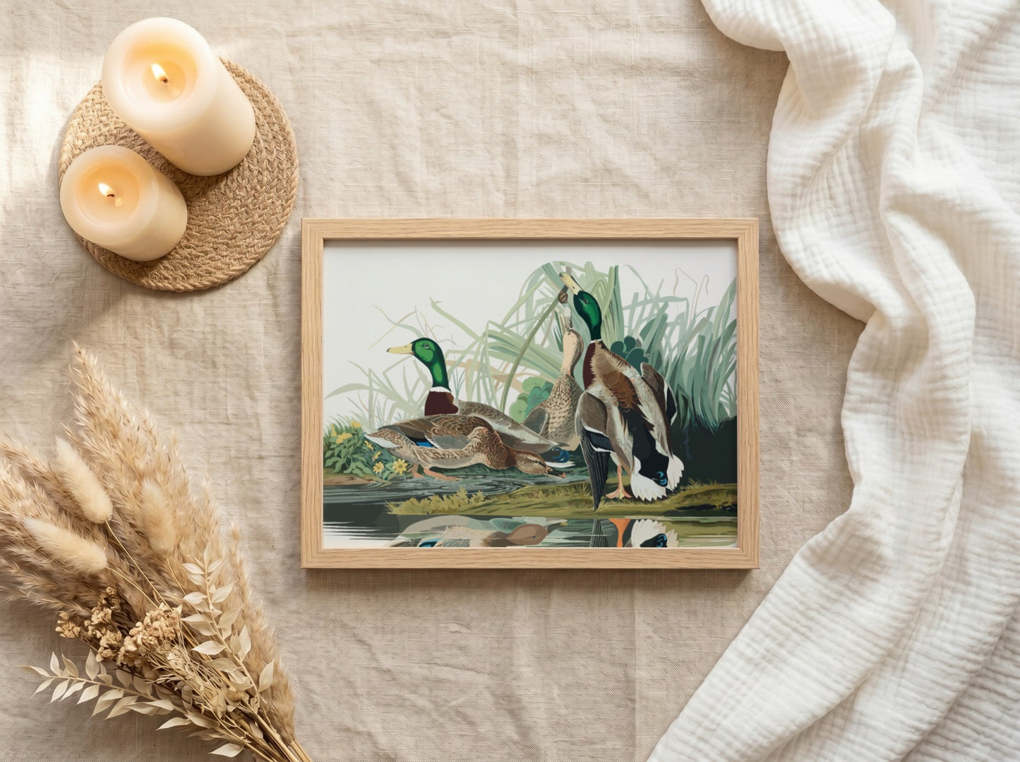Mallard Duck poster featuring vibrant colors and intricate details, perfect for nature wall art and wildlife