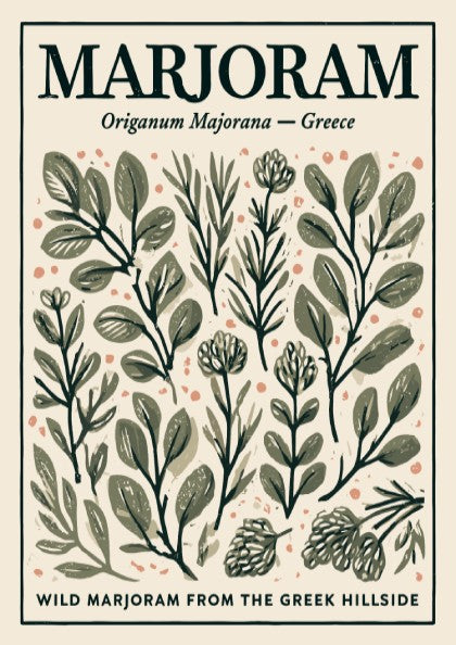Kitchen poster featuring marjoram illustrations in earthy tones, botanical decor style.