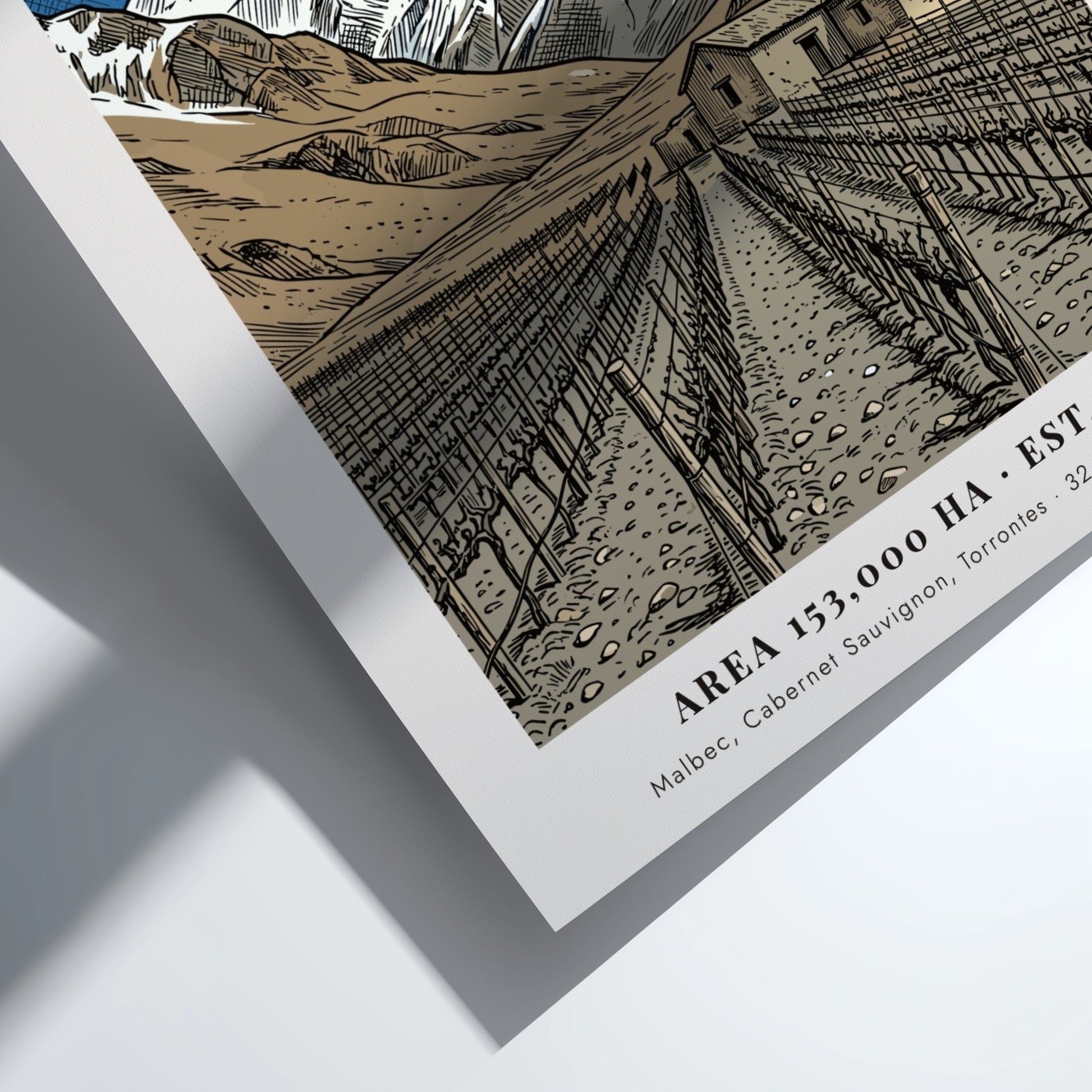 Poster of the Mendoza wine region in Argentina with mountains and vineyard rows
