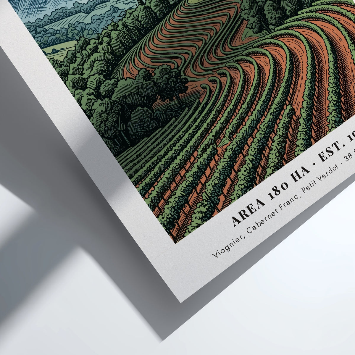 Poster of the Monticello estate in Virginia surrounded by lush, rolling vineyard rows.