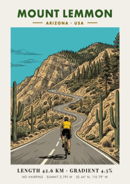 Poster of a cyclist climbing the winding Mount Lemmon road in Arizona with cacti.