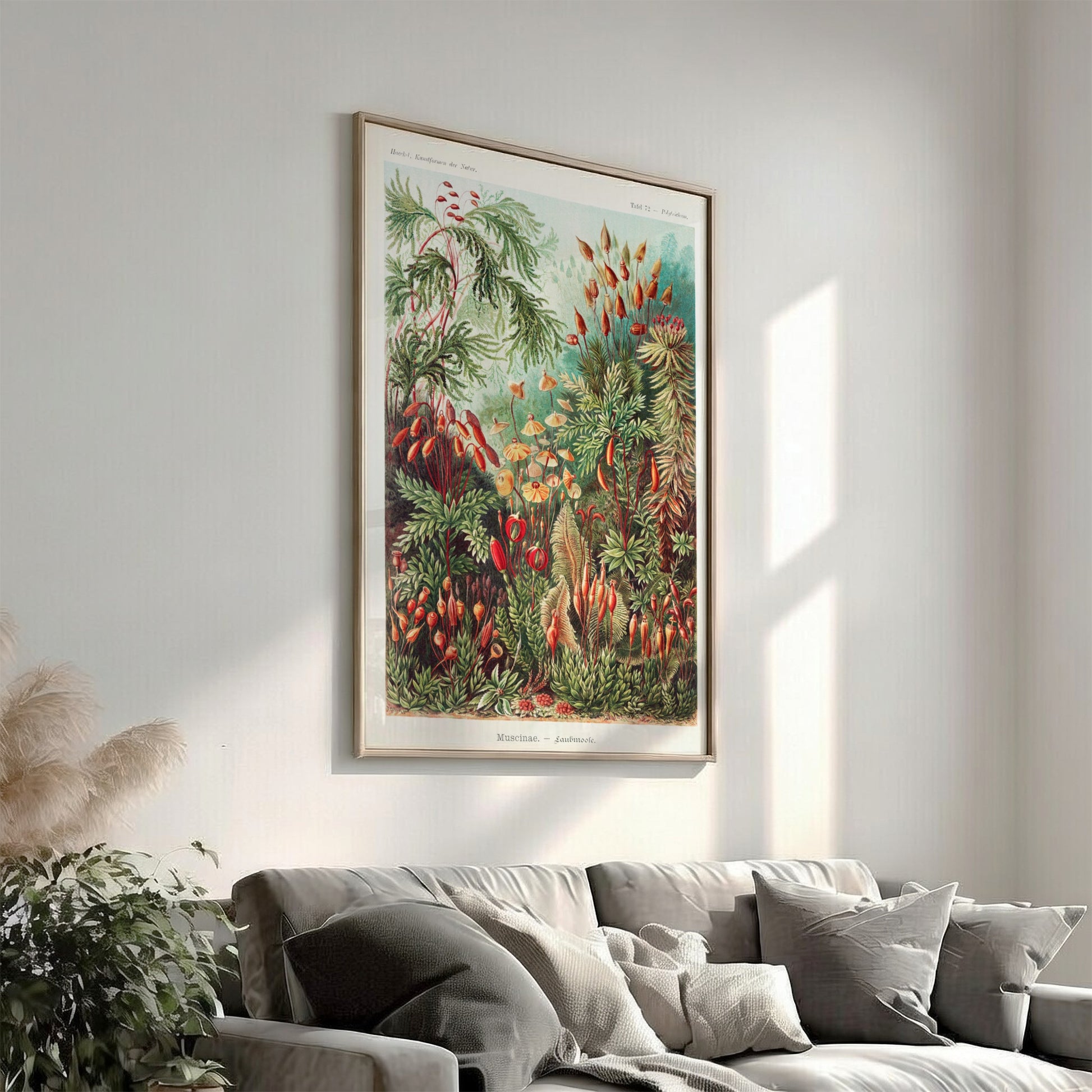 Vintage "Mosses" poster featuring detailed botanical illustrations of various moss species in greens and reds.