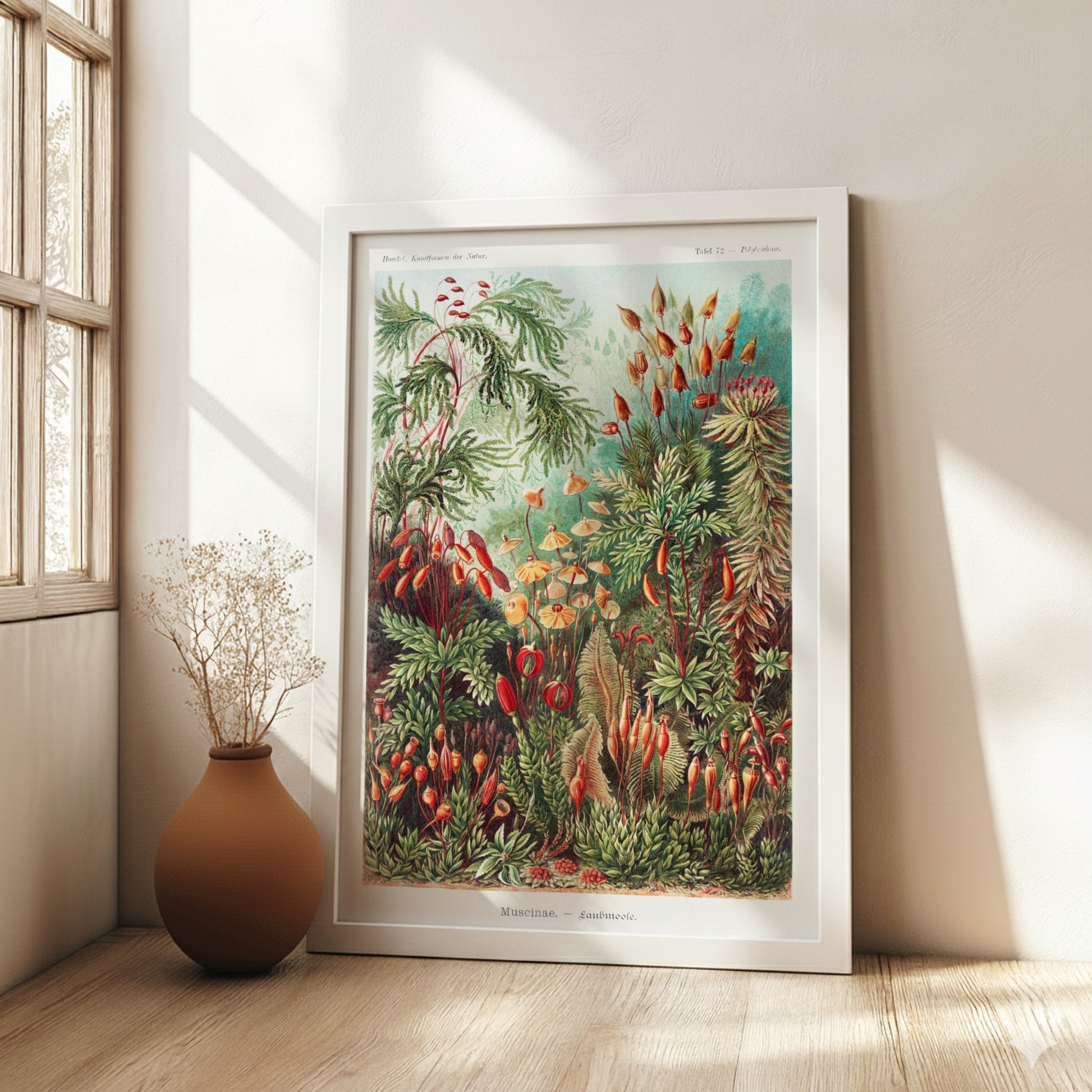 Vintage "Mosses" poster featuring detailed botanical illustrations of various moss species in greens and reds.