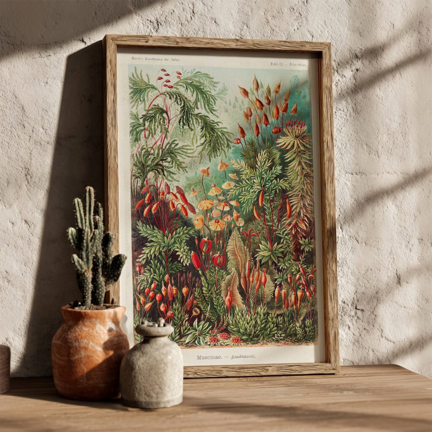 Vintage "Mosses" poster featuring detailed botanical illustrations of various moss species in greens and reds.