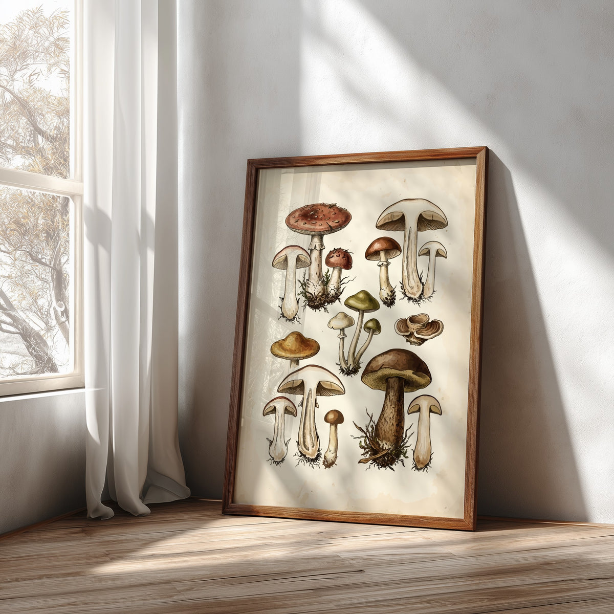 Poster displaying a collection of detailed vintage mushroom illustrations in earthy brown and green.
