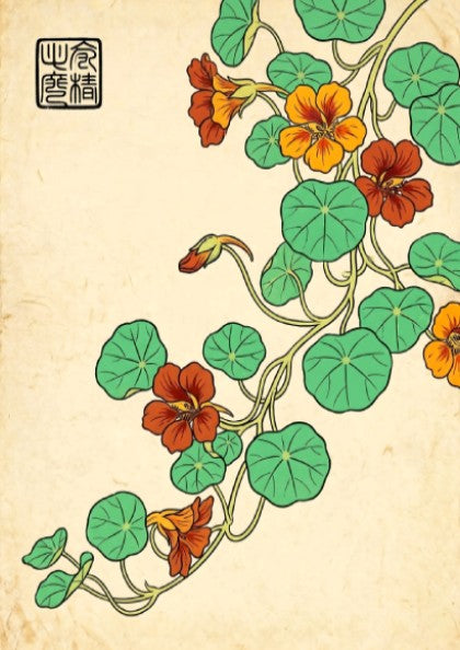 Nasturtium Orange Vine Poster showcasing vibrant orange flowers and green leaves in Japanese art style