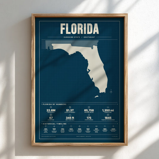 Framed map of Florida on a white wall with shadows