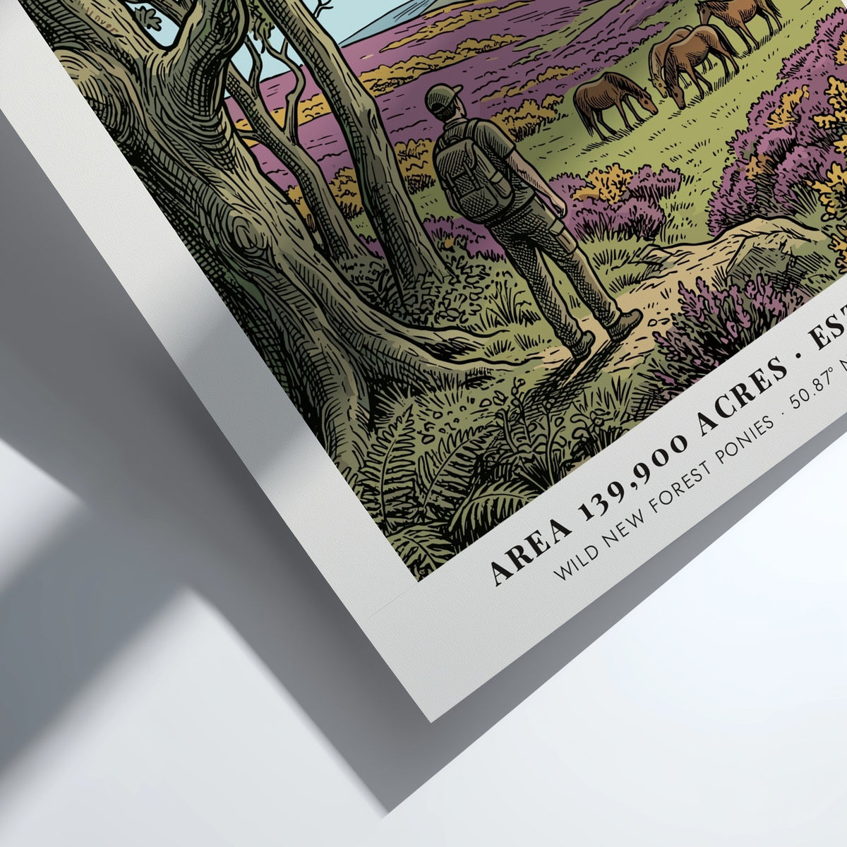 Poster showing a hiker watching wild ponies in the New Forest National Park landscape.