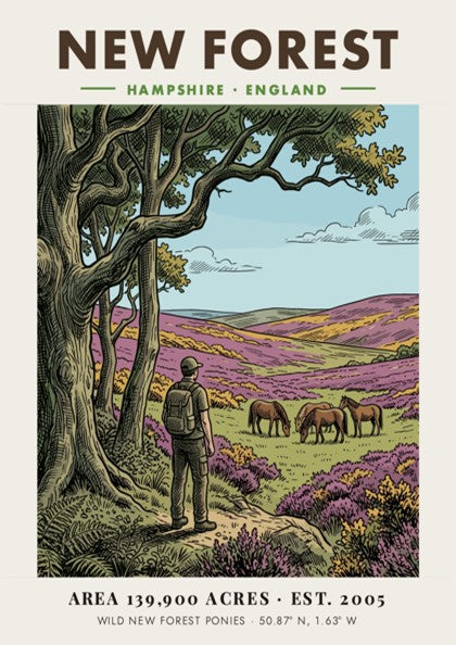 Poster showing a hiker watching wild ponies in the New Forest National Park landscape.