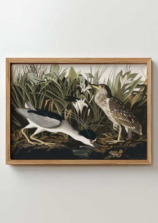 Night Heron art poster featuring detailed illustration, nature theme, rich colors, and elegant design for
