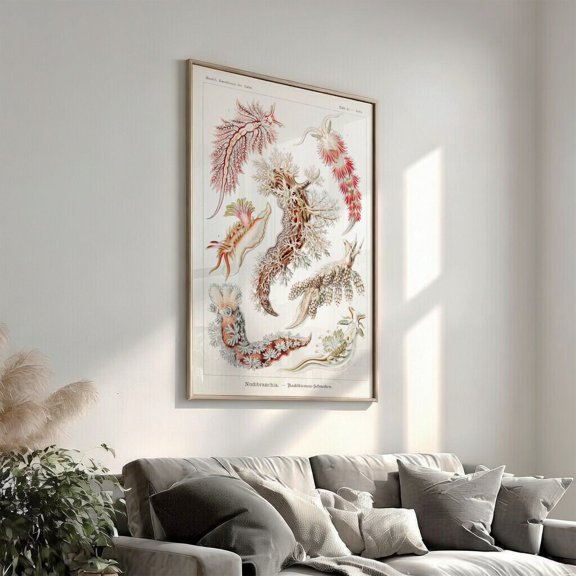 Nudibranchia Sea Slugs Poster featuring vintage scientific illustrations by Ernst Haeckel.