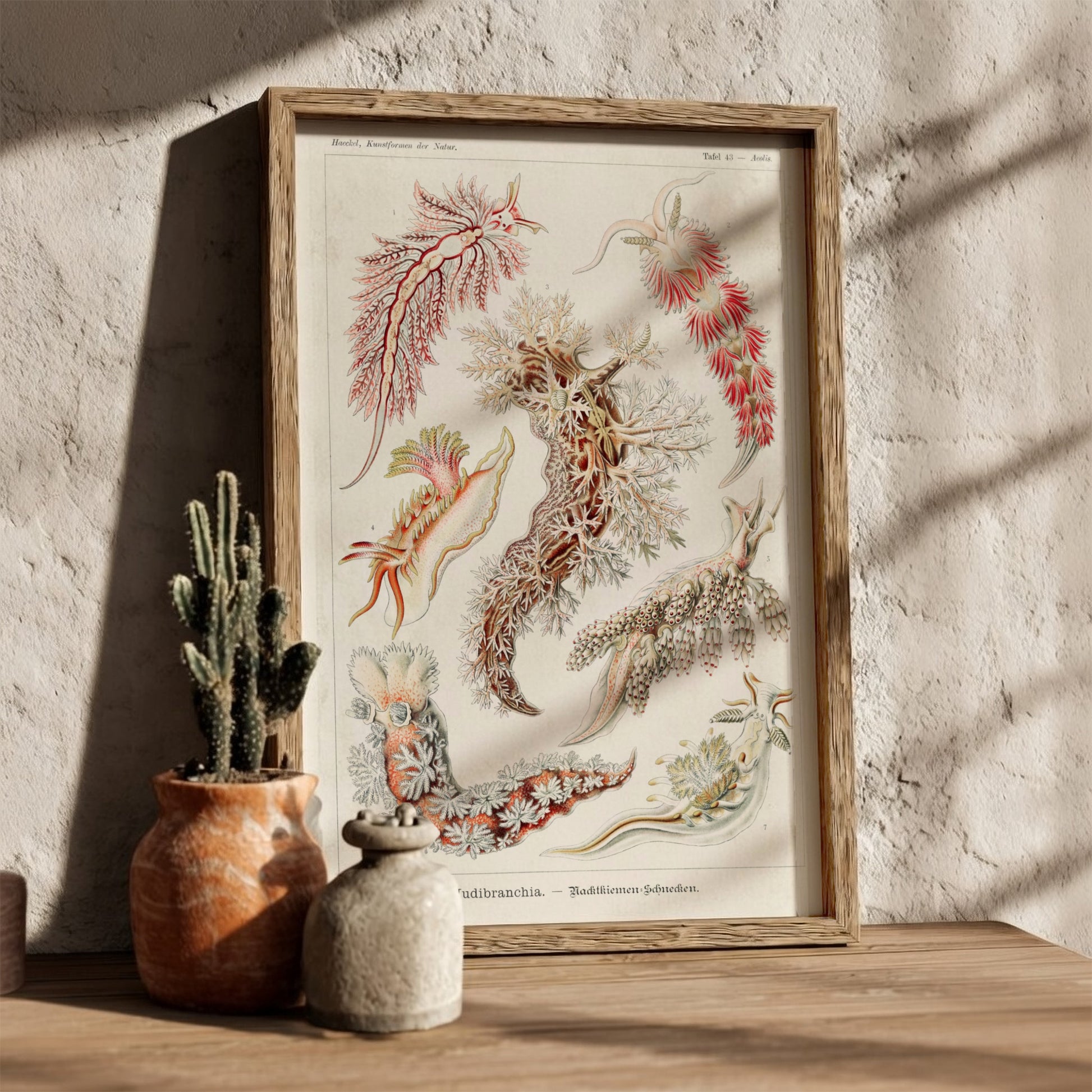 Nudibranchia Sea Slugs Poster featuring vintage scientific illustrations by Ernst Haeckel.