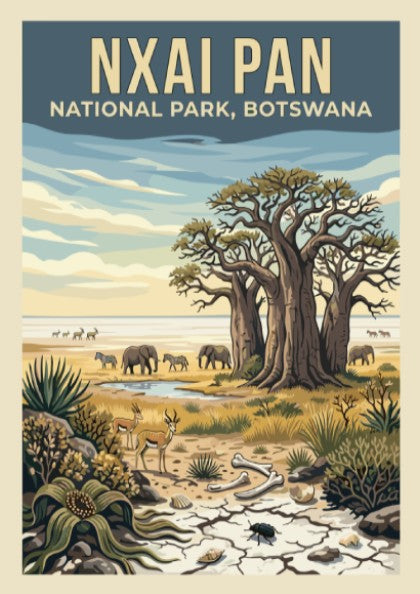 Wildlife poster featuring Nxai Pan National Park, showcasing elephants and baobab trees in earthy tones.