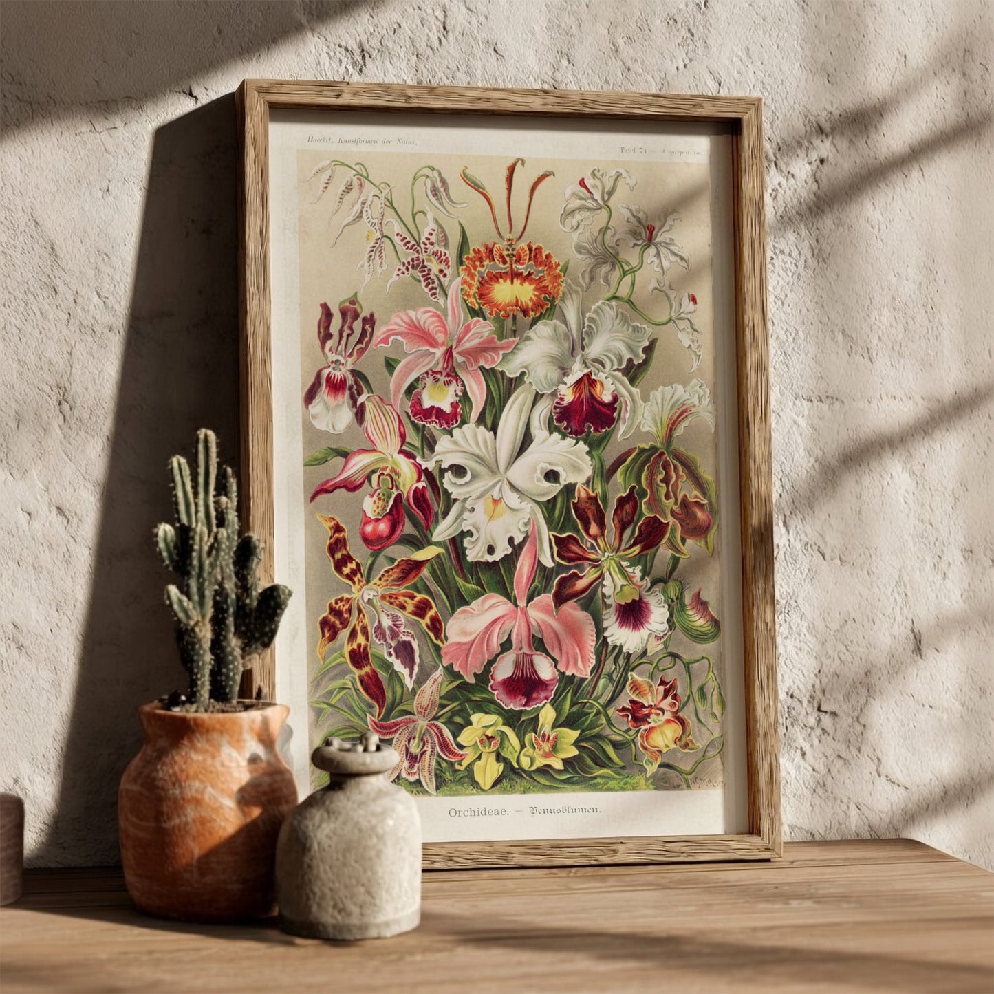 Orchideae - Denusblumen art poster featuring a detailed vintage illustration of various orchid flowers in