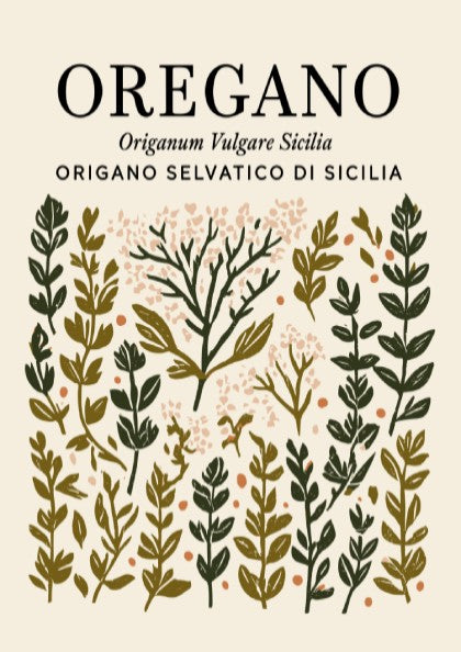 Oregano kitchen poster featuring botanical illustrations in green and earthy tones, perfect for kitchen decor.