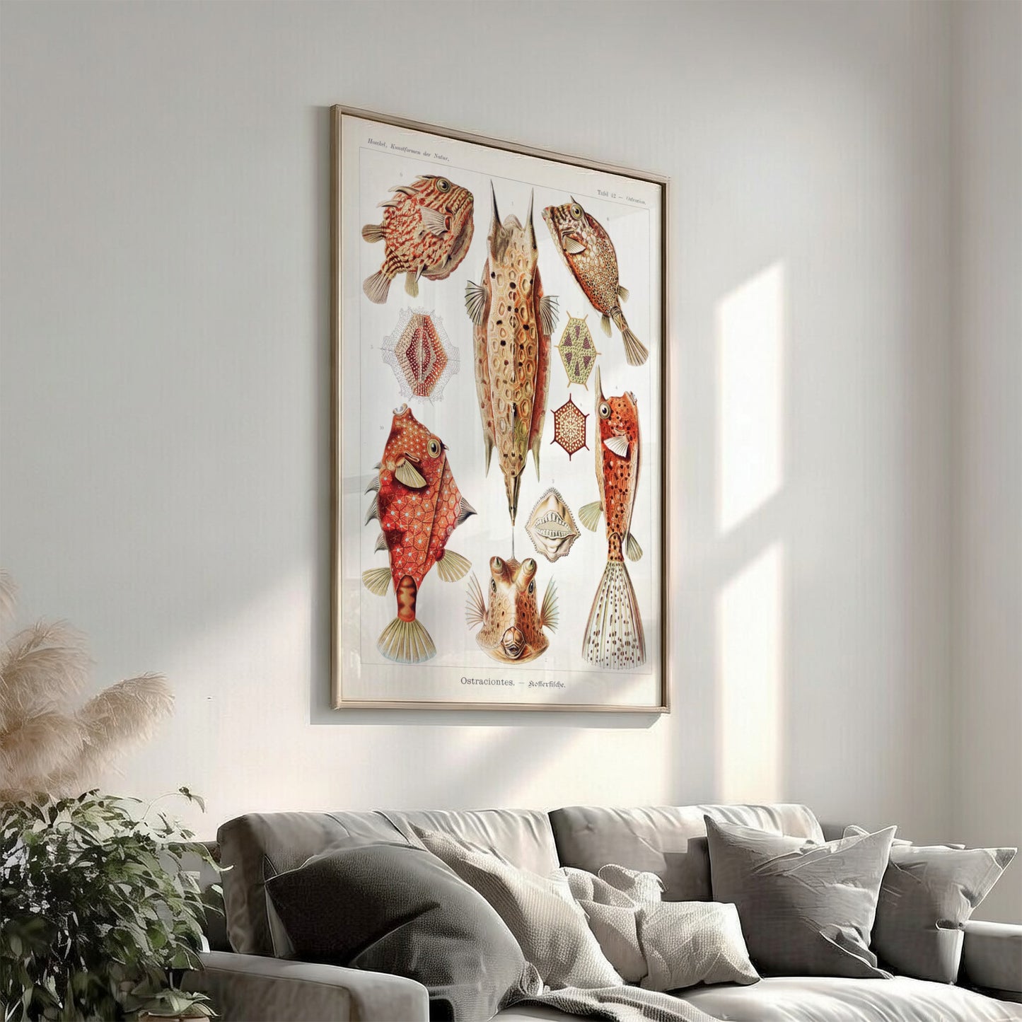 Vintage art poster of Ernst Haeckel's "Ostraciontes" scientific illustration of boxfish and marine life.