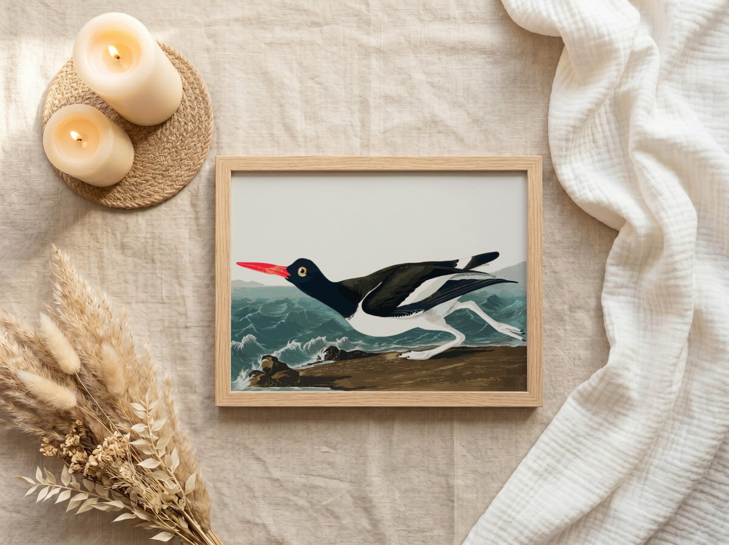 Pied Oystercatcher poster featuring a black and white bird in flight against an ocean backdrop, vintage art