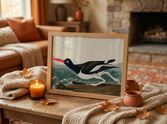 Pied Oystercatcher poster featuring a black and white bird in flight against an ocean backdrop, vintage art