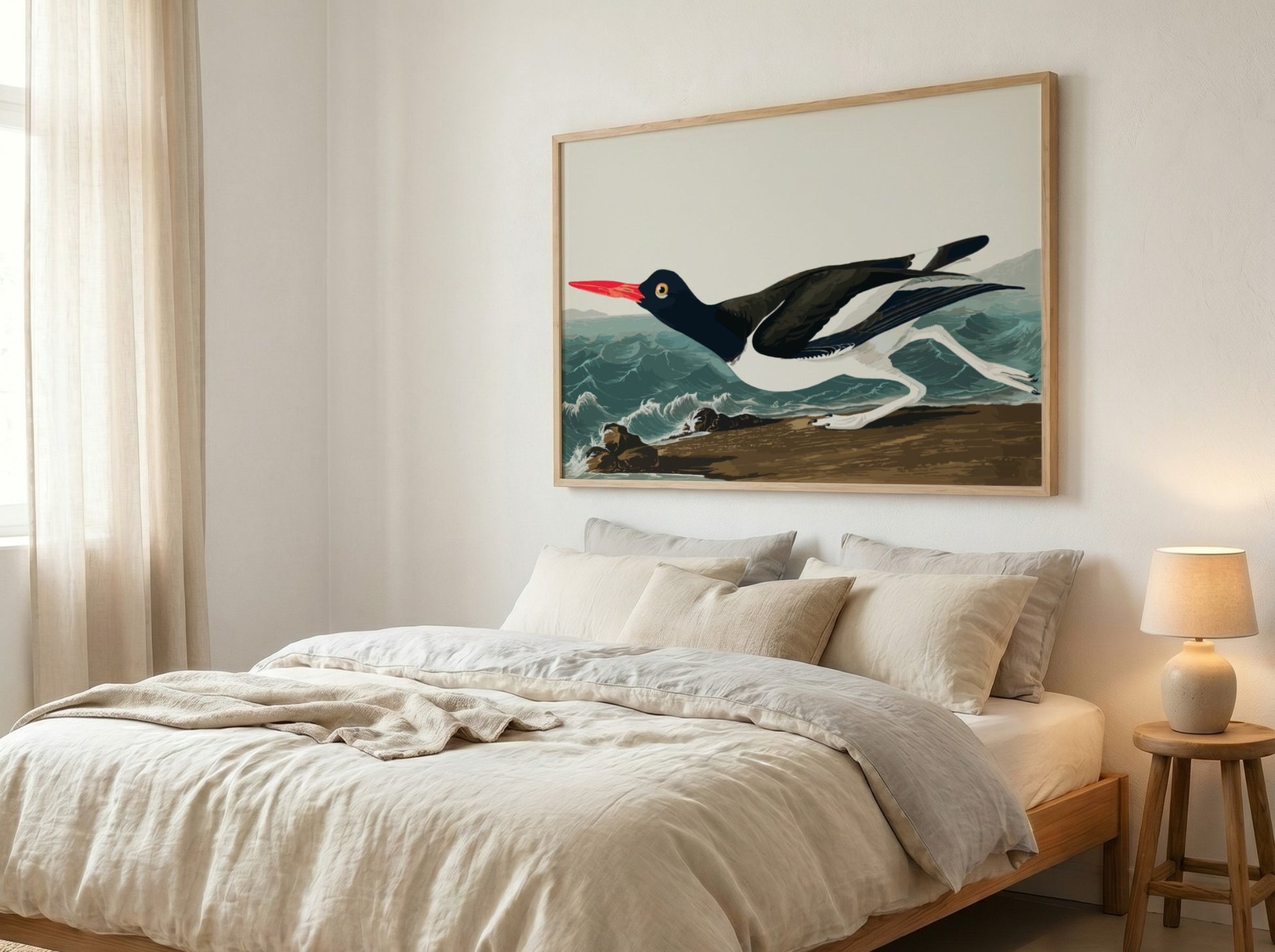 Pied Oystercatcher poster featuring a black and white bird in flight against an ocean backdrop, vintage art