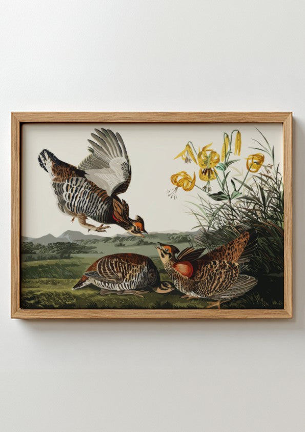 Pinnated grouse art poster featuring vibrant colors and vintage style, perfect for nature wall decor.