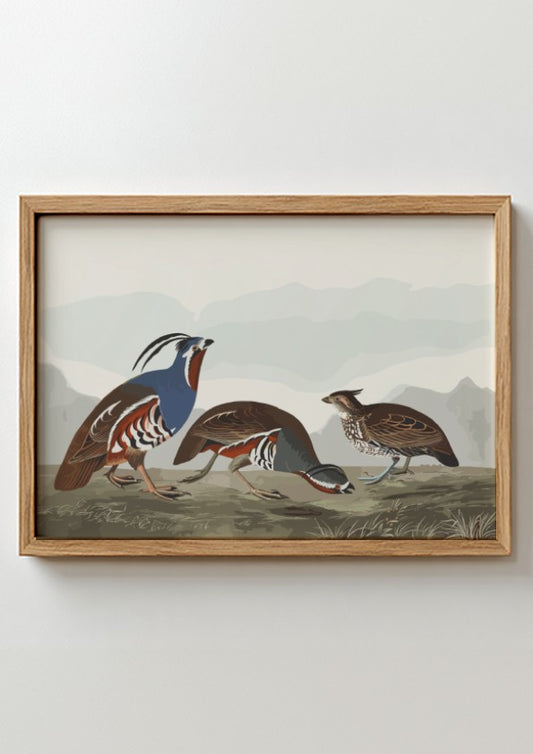 Nature wall art poster featuring plumed partridge and thick-legged partridge in earthy tones and intricate