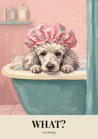 Poster of a poodle in a shower cap sitting inside a blue bathtub.