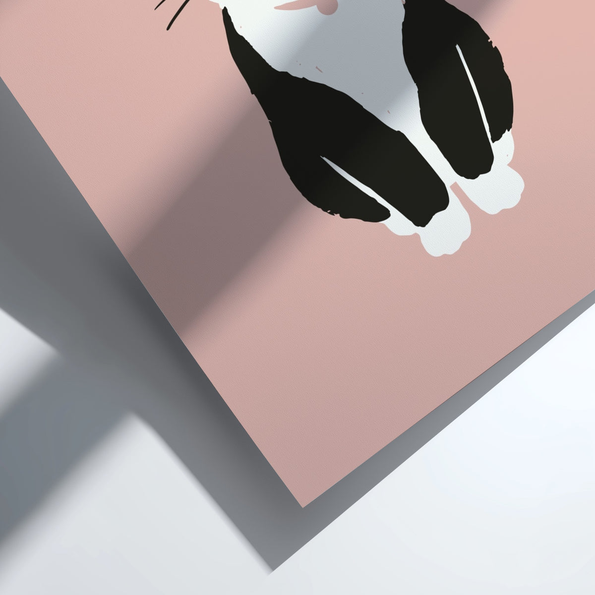 Poster of a minimalist tuxedo cat with wide eyes on a blush pink background.