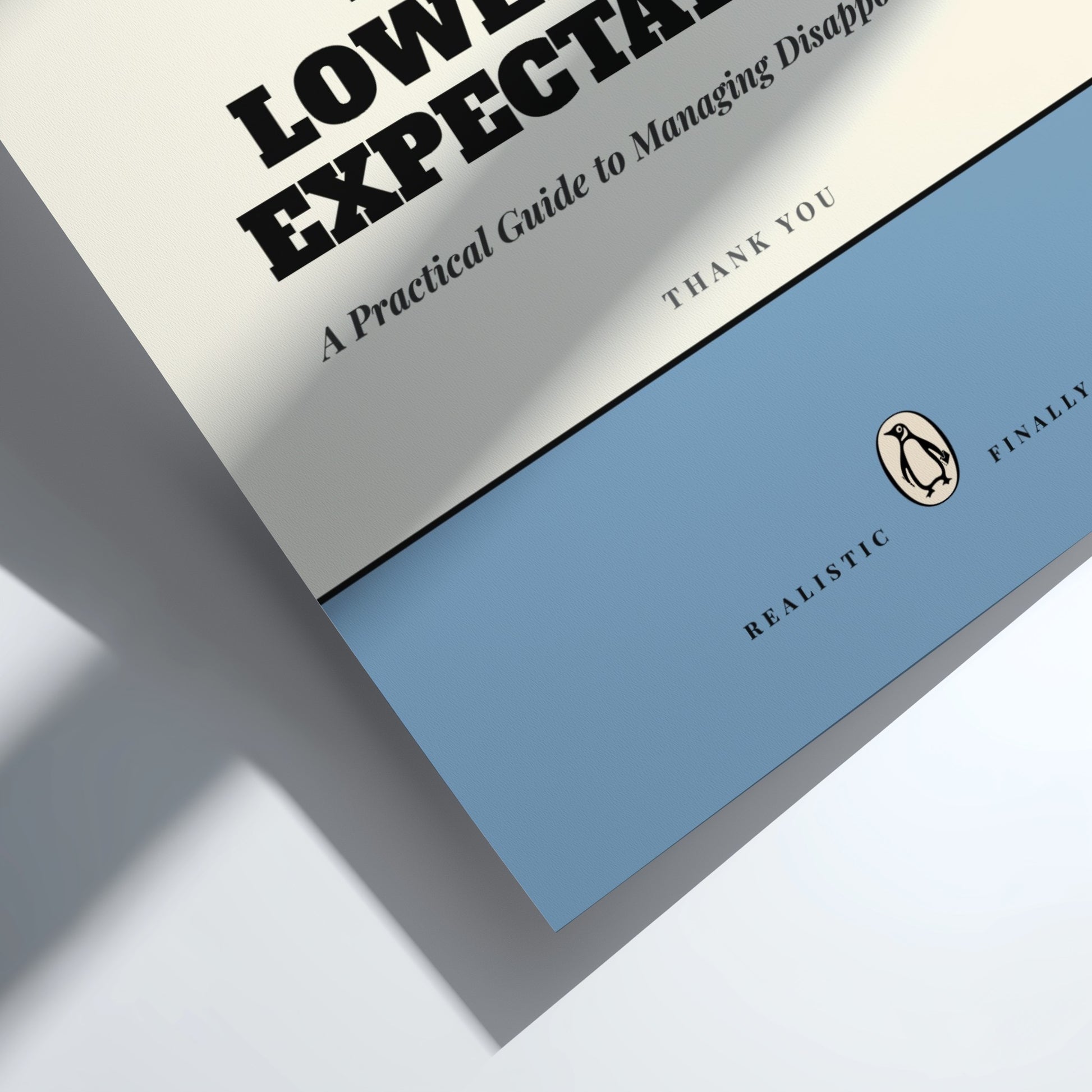 Book titled 'Low Expectations' with a blue cover and Penguin Random House logo.