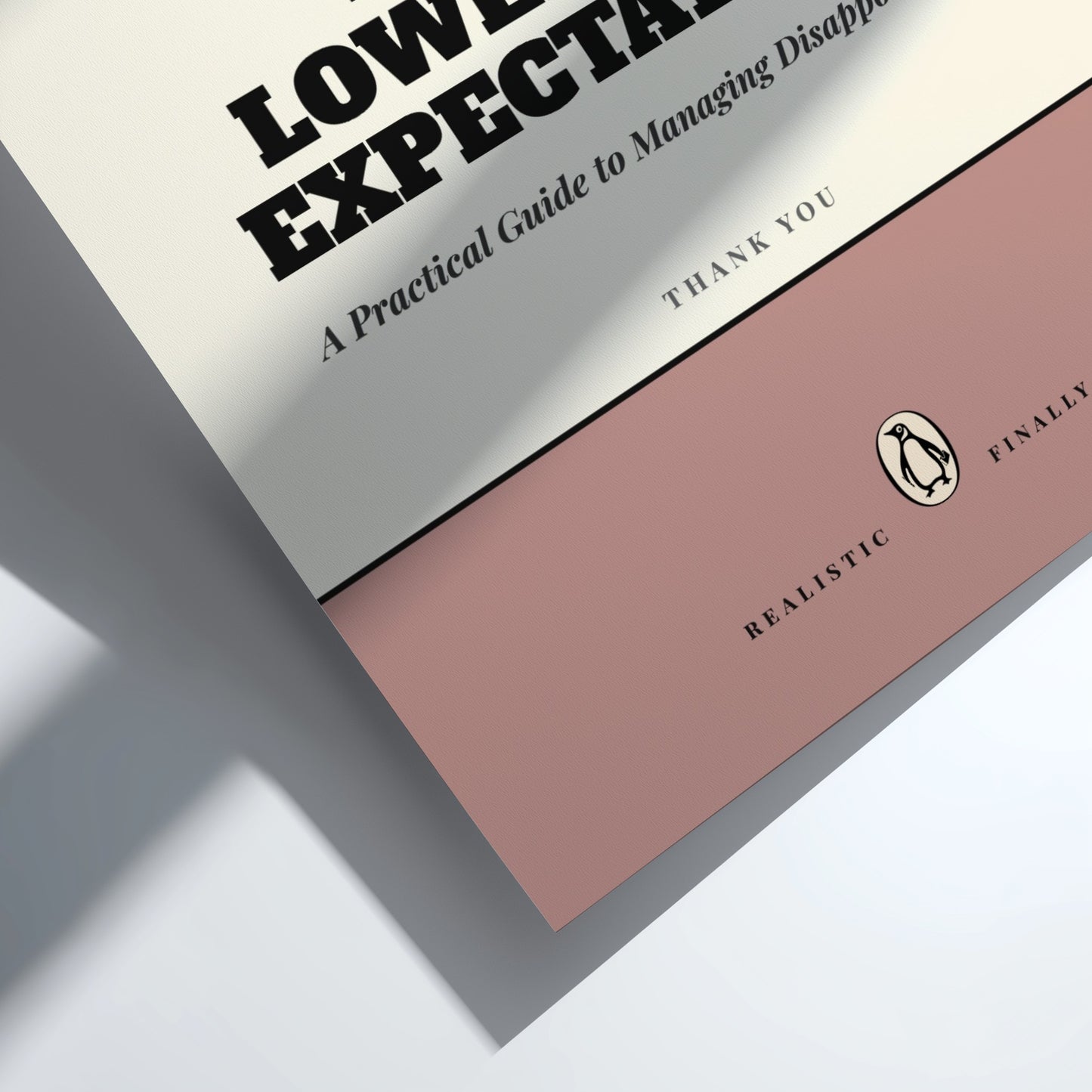 Book titled 'Low Expectations' with a pink interior page on a white background