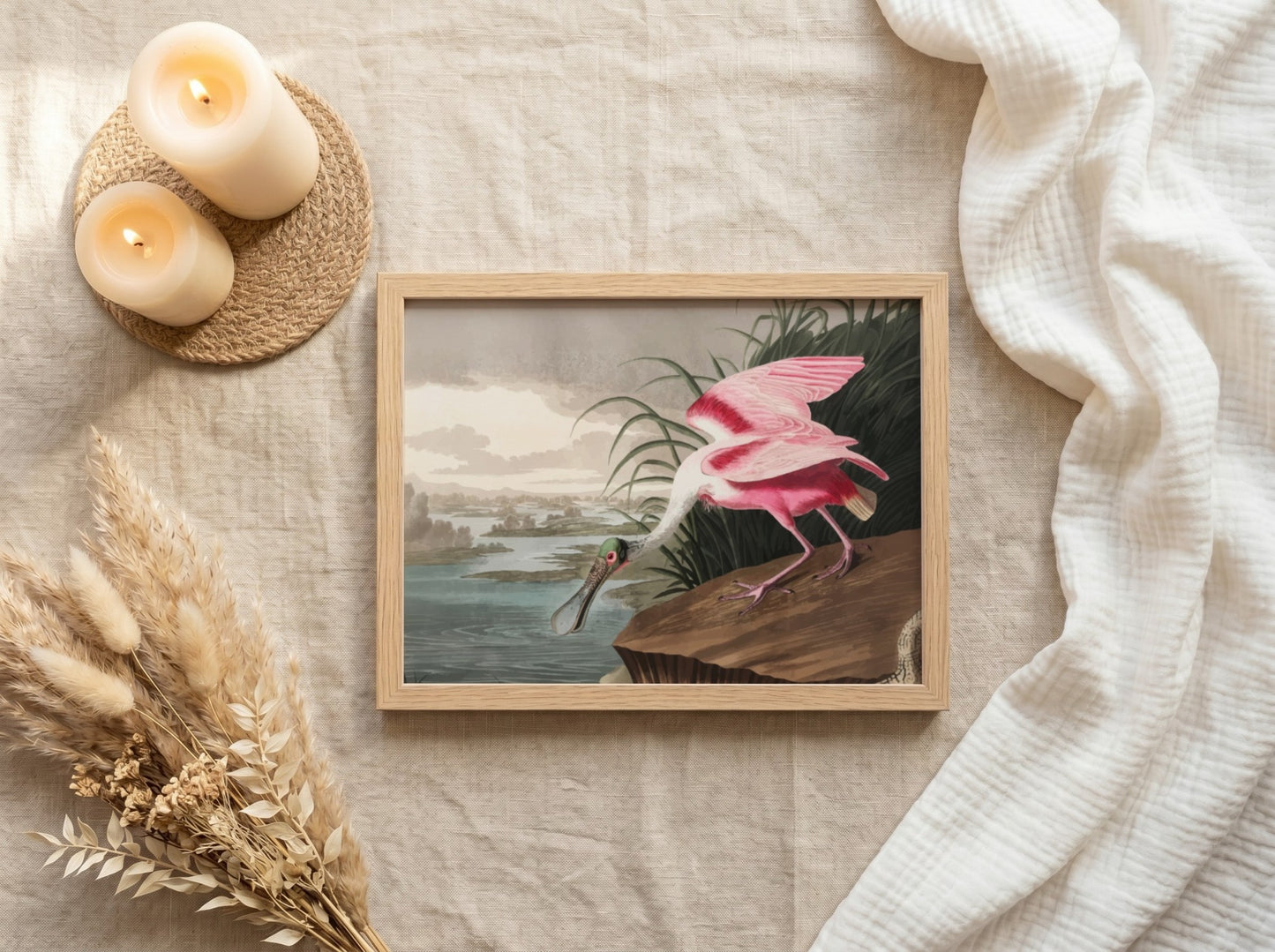 Roseate Spoonbill art poster featuring pink hues and vintage style, ideal for nature decor