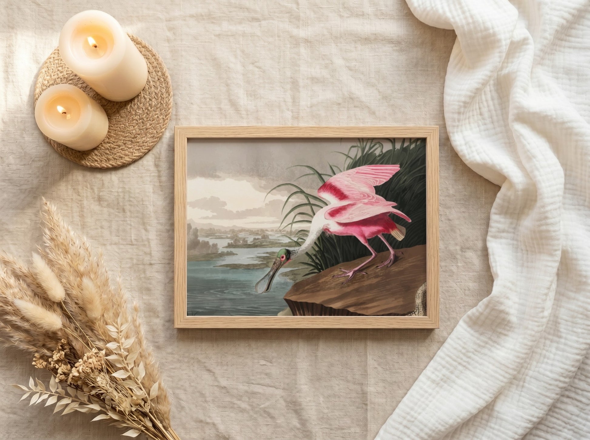 Roseate Spoonbill art poster featuring pink hues and vintage style, ideal for nature decor