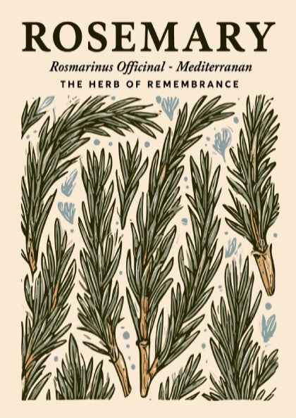 Kitchen poster featuring rosemary sprigs in green tones, botanical style, perfect for home decor