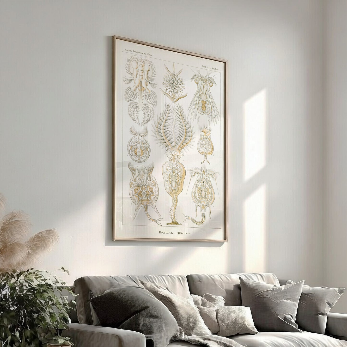 Vintage science art poster featuring detailed illustrations of Rotatoria Rädertiere by Ernst Haeckel.