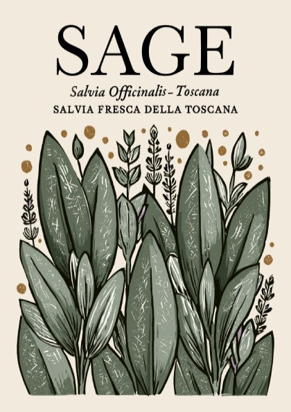 Sage kitchen poster featuring green leaves, botanical style, wall decor