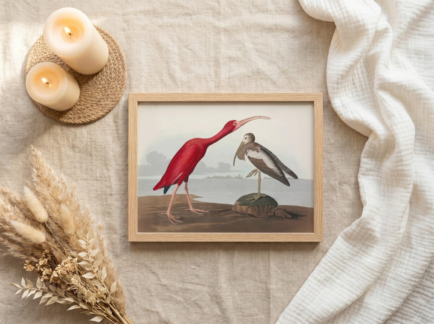 Scarlet Ibis art poster featuring vibrant red colors and intricate wildlife design, perfect for nature decor.